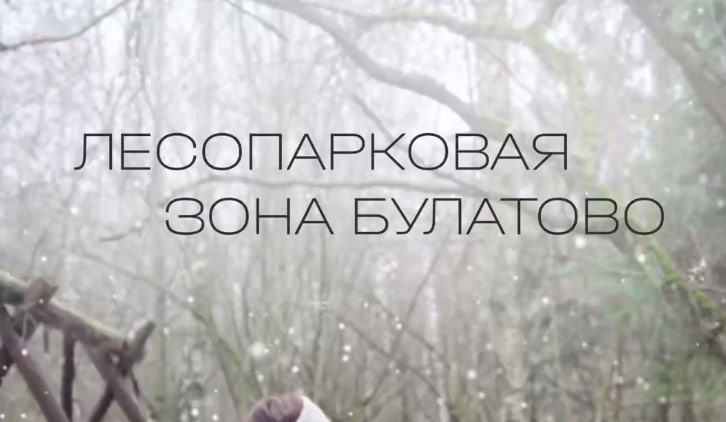 Когда в последний раз ваше утро начиналось со звуков природы, а не уведомлений в телефоне?